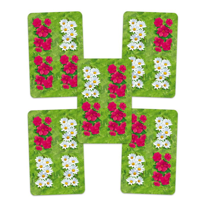 Devir Juego de Mesa Spring