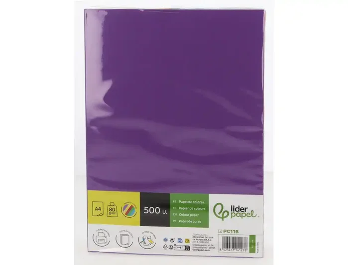 Liderpapel Papel de Color DIN A4 80 g, 5 Colores Surtidos Intensos, 500 Hojas