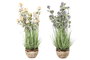 DKD Home Decor Planta de Hortensia en Surtido de PVC y Metal 30x30x78 cm