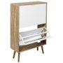 Home Deco Factory Mueble Zapatero 2 Puertas Bicolor