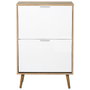 Home Deco Factory Mueble Zapatero 2 Puertas Bicolor