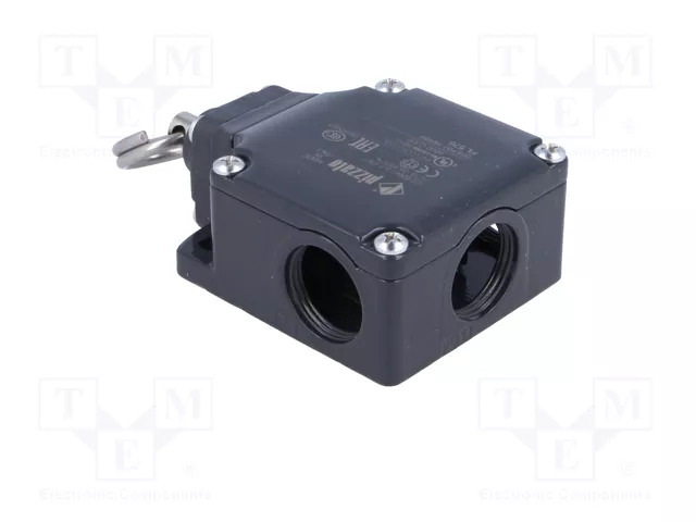 PIZZATO ELETTRICA Interruptor de fin de carrera FL 576 con cabezal de anillo