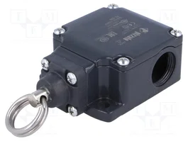 PIZZATO ELETTRICA Interruptor de fin de carrera FL 576 con cabezal de anillo