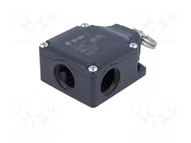 PIZZATO ELETTRICA Interruptor de fin de carrera FL 576 con cabezal de anillo