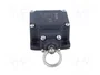 PIZZATO ELETTRICA Interruptor de fin de carrera FL 576 con cabezal de anillo
