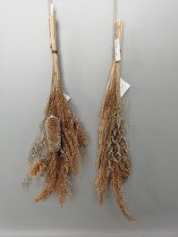 DKD Home Decor Ramo de Flores Secas Colgante Surtido de 2 Modelos
