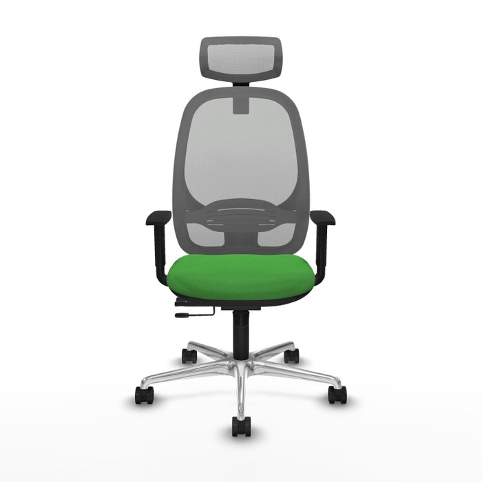 PIQUERAS Y CRESPO Silla de oficina Cilanco con mecanismo Sincro/Traslack Verde y Gris