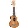 Ukelele Soprano Cutaway Tanglewood Electrificado Twt1Ce