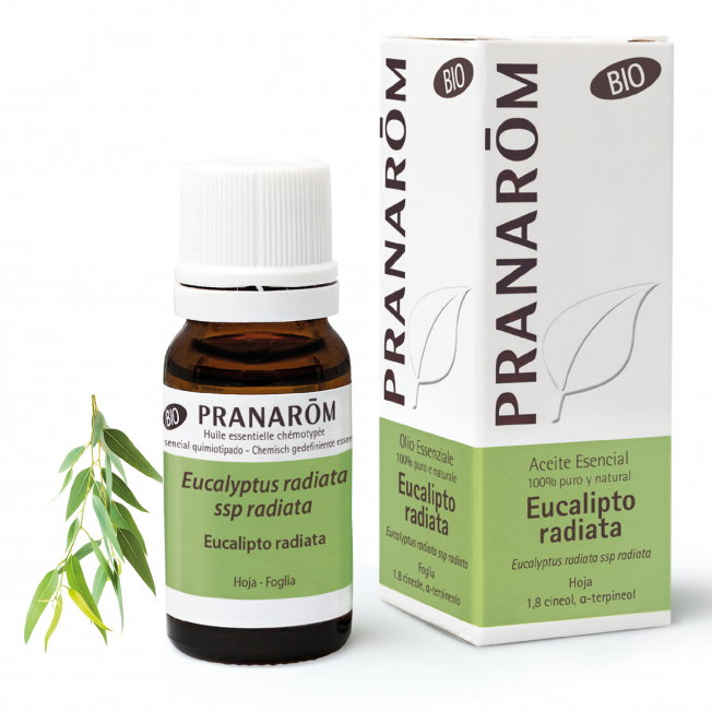PRANAROM Aceite Esencial Eucalipto Radiata Bio 10ml PRANAROM Aceite Esencial Eucalipto Radiata Bio 10ml
