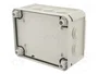OBO BETTERMANN Caja de conexiones T 100 gris claro
