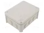 OBO BETTERMANN Caja de conexiones T 100 gris claro