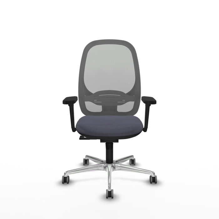 PIQUERAS Y CRESPO Silla de oficina Cilanco con mecanismo Sincro, Brazos 3D y Gris PIQUERAS Y CRESPO Silla de oficina Cilanco con mecanismo Sincro, Brazos 3D y Gris