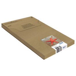 Epson Multipack de tinta 603 de 3 colores EasyMail C13T03U54510