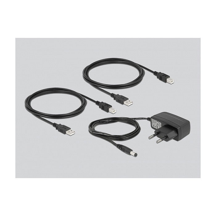 DeLOCK Conmutador USB 2.0 Switch para 2 Ordenadores a 2 Dispositivos, 0,48 Gbit/s, Negro, Plástico, Incluye Cable USB Tipo A a B