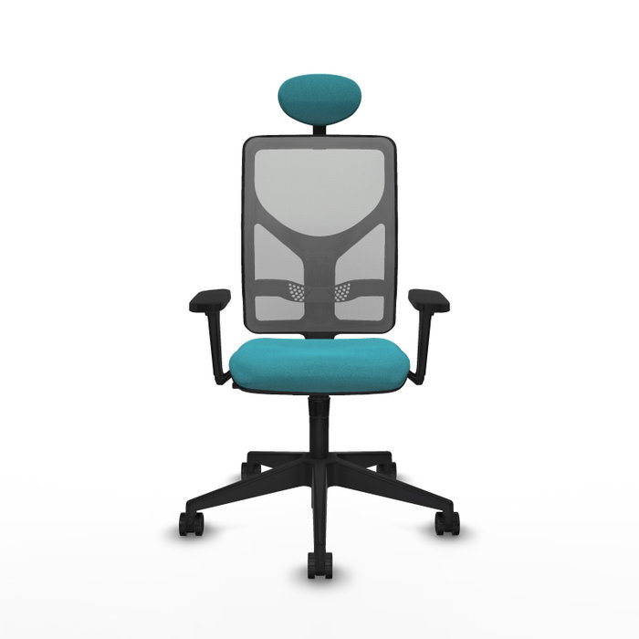 PIQUERAS Y CRESPO Silla de oficina Motilla con mecanismo Sincro, Tela Turquesa y Malla Gris PIQUERAS Y CRESPO Silla de oficina Motilla con mecanismo Sincro, Tela Turquesa y Malla Gris