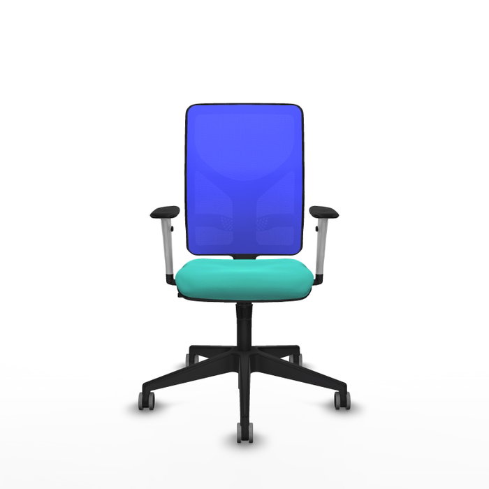 PIQUERAS Y CRESPO Silla de oficina Motilla con mecanismo Sincro, Turquesa y Azul PIQUERAS Y CRESPO Silla de oficina Motilla con mecanismo Sincro, Turquesa y Azul