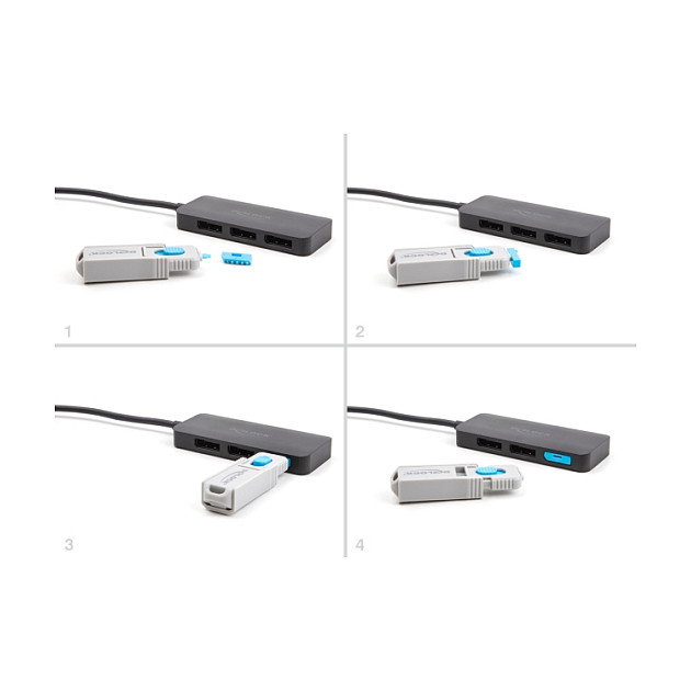 DeLOCK Juego de 4 Bloqueadores para Puertos DisplayPort con Herramienta de Bloqueo