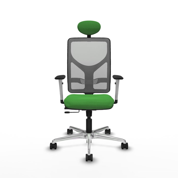 PIQUERAS Y CRESPO Silla de oficina Motilla con mecanismo Sincro/Traslack, Verde y Gris PIQUERAS Y CRESPO Silla de oficina Motilla con mecanismo Sincro/Traslack, Verde y Gris