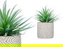 Ibergarden Planta Hoja Punta Maceta Gris 17 cm x 21 cm x 17 cm (Set de 8)