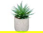 Ibergarden Planta Hoja Punta Maceta Gris 17 cm x 21 cm x 17 cm (Set de 8)