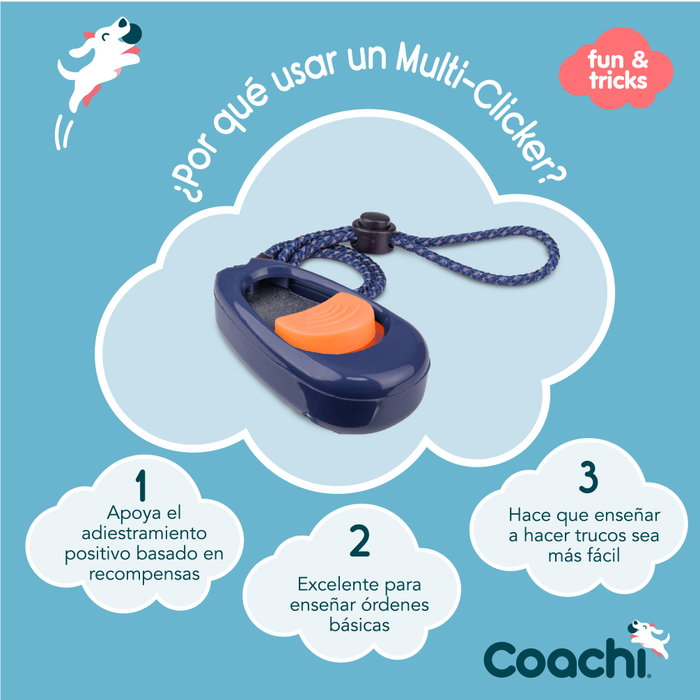Company Of Animals Multi Clicker Company Of Animals Multi Clicker