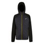 Chaqueta Deportiva Regatta RMN311-ZTK M