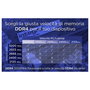 Integral 8GB DDR4 3200MHz SODIMM Verde IN4V8GNGLTX