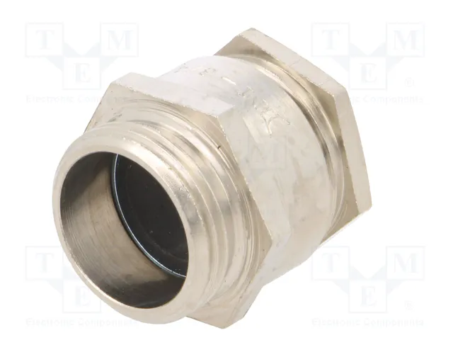 BM GROUP Sello aislante G3/4 IP54 de latón