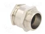 BM GROUP Sello aislante G3/4 IP54 de latón