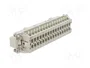 HARTING Han E® Conector Macho de Plantilla de Contacto 32+PE