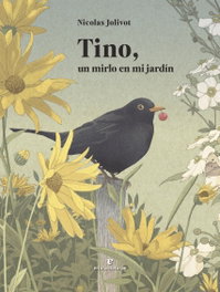 ERRATA NATURAE, Tino, un mirlo en mi jardín, Nicolas Jolivot - ERRATA NATURAE