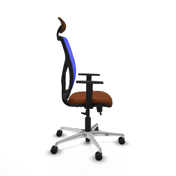PIQUERAS Y CRESPO Silla de oficina Motilla con mecanismo Sincro/Traslack, Marrón y Azul PIQUERAS Y CRESPO Silla de oficina Motilla con mecanismo Sincro/Traslack, Marrón y Azul