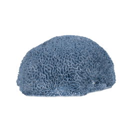 Figura Esponja Azul Resina Decoración 23 X 21 X 11 cm