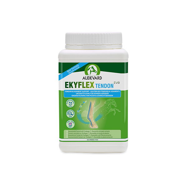 Audevard Ekyflex Tendon Evo 1,8 kg para Equinos Audevard Ekyflex Tendon Evo 1,8 kg para Equinos