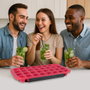 Cook Concept Molde para 32 Cubitos con Soporte
