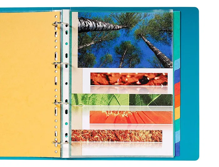 Q-connect Juego de 12 separadores DIN A4, Cartulina Brillo, Multitaladro