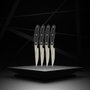 Nirosta Juego de 4 cuchillos para carne - 22 cm