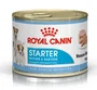 Royal Canin Starter Mother Babydog Caja 12x195g