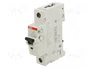 ABB Interruptor magnetotérmico S200 1A 1P 6kA