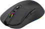 California Access Serval CA1048 Ratón Gaming Inalámbrico 10000 DPI Negro