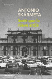 Soñé que la nieve ardía, Antonio Skármeta - DEBOLSILLO