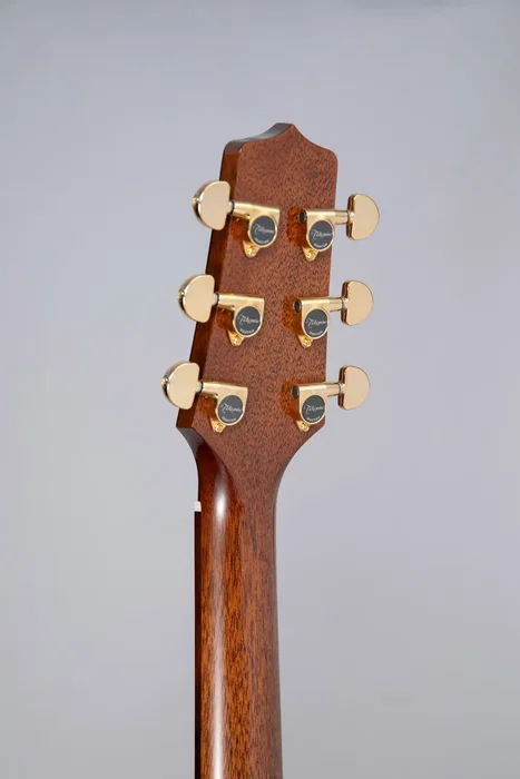 Takamine P5DC Guitarra electroacústica Dreadnought con cutaway Takamine P5DC Guitarra electroacústica Dreadnought con cutaway