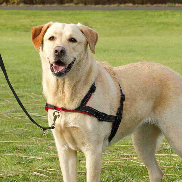 Arnés para Perro Trixie Arnés para Perro Trixie