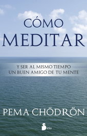 SIRIO EDITORIAL, Cómo meditar y ser al mismo tiempo buen amigo de tu mente - VV.AA.
