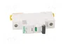 SCHNEIDER ELECTRIC Interruptor magnetotérmico ACTI9 iC60L 6A 1 Polo