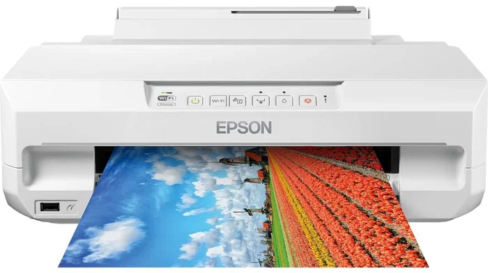 Epson Expression Photo XP-65 Blanco