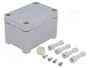 FIBOX TEMPO Carcasa Universal Gris IP65
