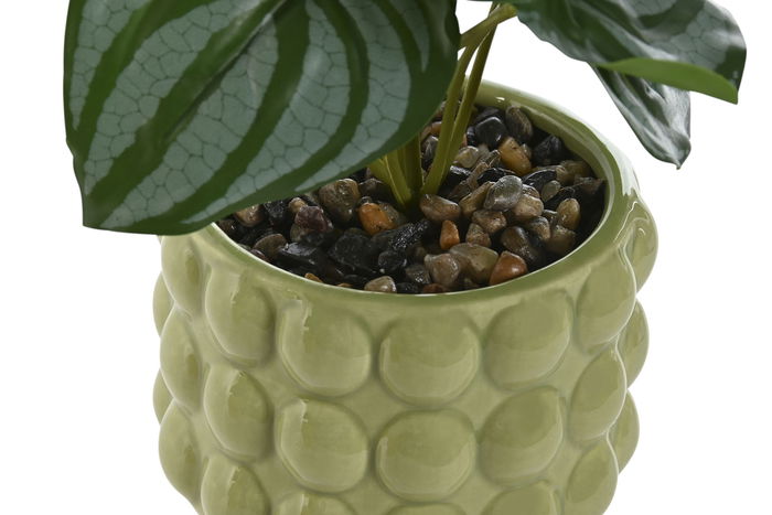 DKD Home Decor Planta Verde Mostaza 9 x 19 x 9 cm (6 Unidades)