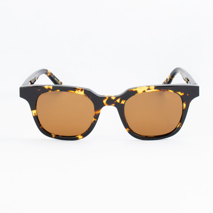 Belstaff BOORMAN-S030 Tokyo Tortoise Acetate Marrón Belstaff BOORMAN-S030 Tokyo Tortoise Acetate Marrón