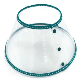 B. Braun Collar Isabelino Bulldog 30 Azul Marino Ecoprotec